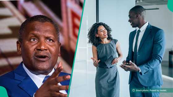 Dangote announces 2025 management trainee programme, releases key requirements to qualify