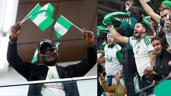 Nigerian fan explains Algeria's protest ahead of AFCON quarterfinal showdown