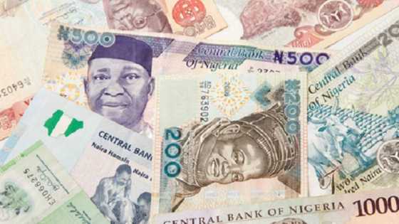 CBN ta fadi adadin miliyoyin kudin bogi da ta kama a shekarar 2018