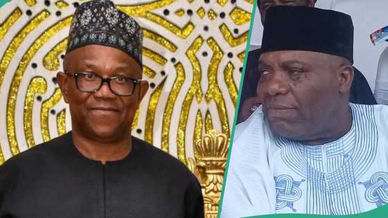 2027: “Collision course”, Doyin Okupe breaks silence on allegation he betrayed Peter Obi