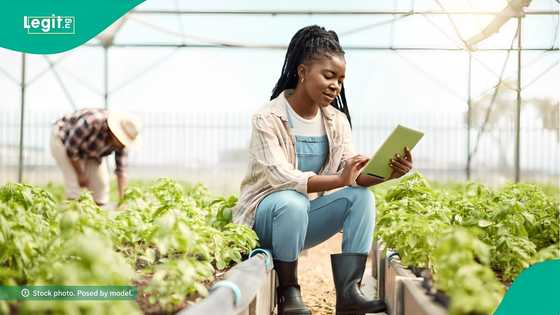 Apply: Nigerian bank opens application for N20m grant, lists requirements, target beneficiaries