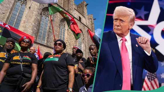 Biafra: Did Donald Trump vow to free Igbos from Nigeria? Fact emerges