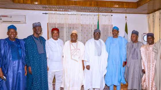 Yadda Buhari ya shawo kan Gwamnonin APC a kan zaben Shettima da Tinubu ya yi