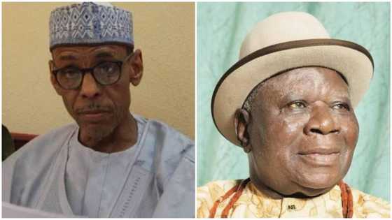 2023 Presidency: Northern Elders send strong message to Southern leaders