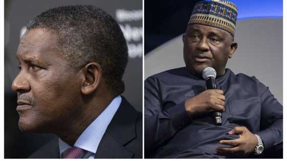 How energy costs are driving up price of cement as Dangote, BUA spend N174.5 billion on fuel and power
