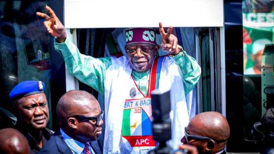 Karin bayani: Bayan Kano, Tinubu ya dura wata jiha domin tallata aniyarsa ta gaje Buhari