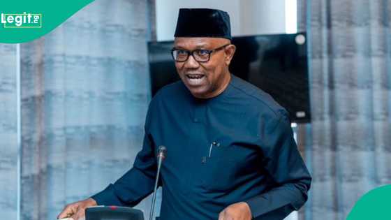 Peter Obi ya nuna damuwa kan gargadin da Majalisar ɗinkin duniya ta yi wa Arewacin Najeriya