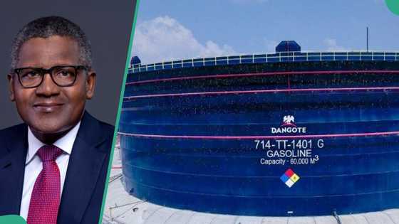 Matatar Mai: Tsohon kakakin Jonathan ya ba Aliko Dangote shawara