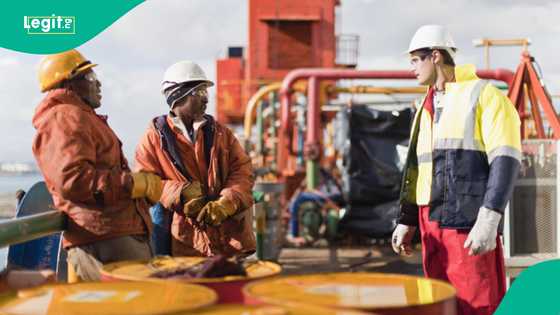 FG introduces 'drill or drop' policy to boost oil production in Nigeria