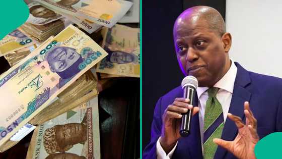 Federal government releases updated list of over 400 approved loan apps for 2026