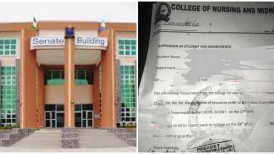 Nigerian student allegedly suspended by college for failing to welcome Buhari during his visit to Borno