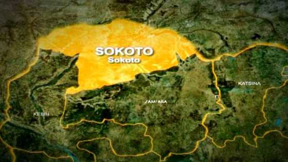 Nasara: 'Yan sanda sun halaka 'yan ta'adda 23, sun yi ram da 'yan bindiga 37 a Sokoto