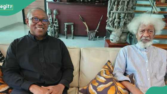 Just In: Again, Soyinka plays down LP's victory claim, says Obi lost 2023 election