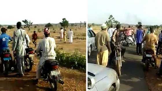 'Yan Bindiga Sun Kai Hari Rugar Fulani a Jihar Zamfara