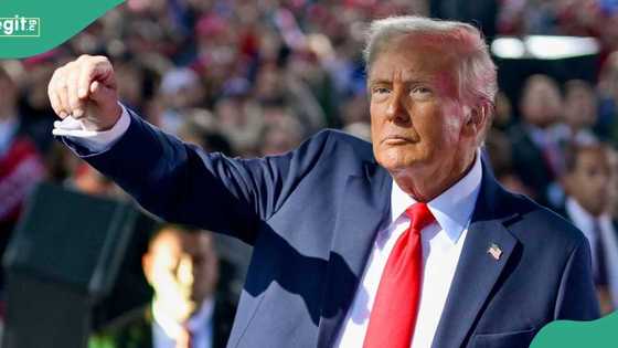 US election 2024: 5 reasons Donald Trump won and Kamala Harris lost