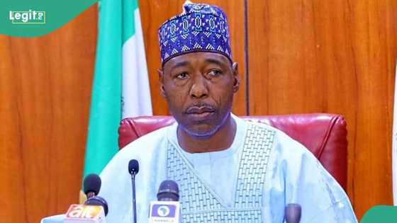 'Yan Boko Haram sun kai harin ta'addanci bayan zuwan ministan tsaro a Borno