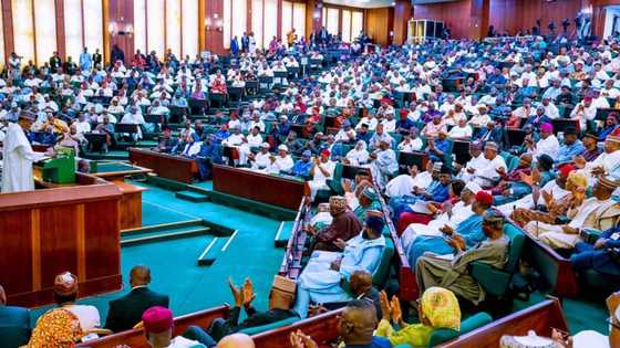 Jerin kayan abinci 22 da Buhari ya ce sabon haraji ba zai shafa ba