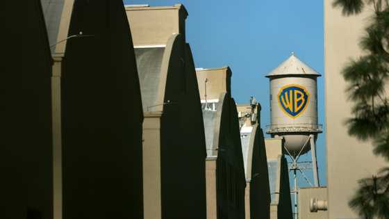 Netflix's Warner Bros. acquisition sparks backlash