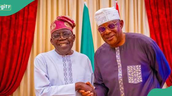 Pro-Tinubu group praises Faleke’s role in advancing president’s tax reforms