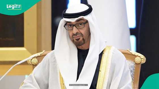 UAE mentions 9 categories of foreigners eligible for Non-Working Residence Permits