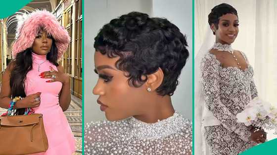 Sophia Momodu drawn into pixie cut drama as fans compare her hairstyle with Davido's wife Chioma