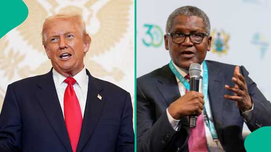 Dangote ya fadi yadda Trump ke ji game da cigaban matatar shi a Najeriya