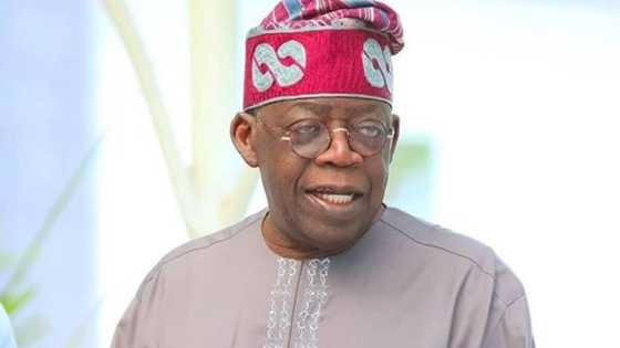 Tsoffin sanatoci da 'yan majalisu suna zawarcin Tinubu don shugabanci kasa a 2023