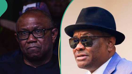 Revealed: Why Wike revoked Peter Obi, BUA, other's lands in Abuja