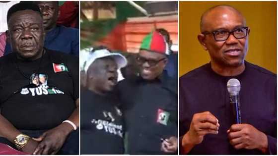 "He don run Agbado street": Reactions as Mr Ibu attends LP candidate Peter Obi’s rally in Jos, video trends