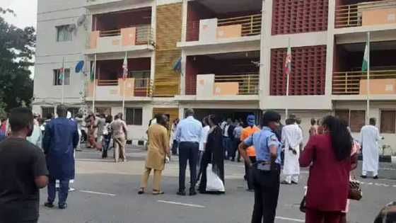 APC national secretariat in Abuja collapses? Party officials flee over scare