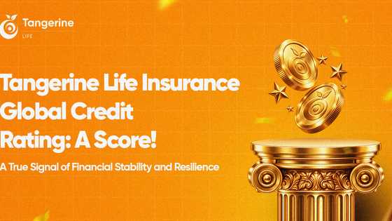 Tangerine Life Insurance Global Credit Rating: A Score!