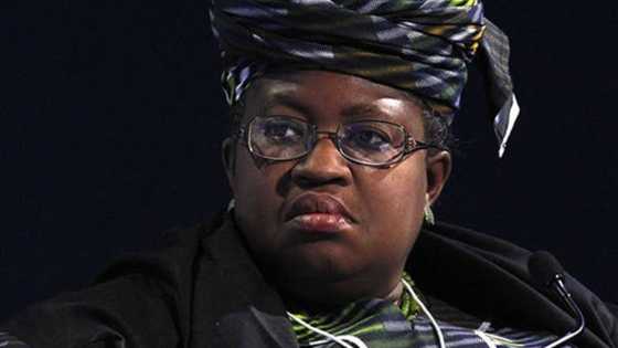 Kankara: Ku dawo mana da yaranmu maza, Okonjo Iweala ga FG