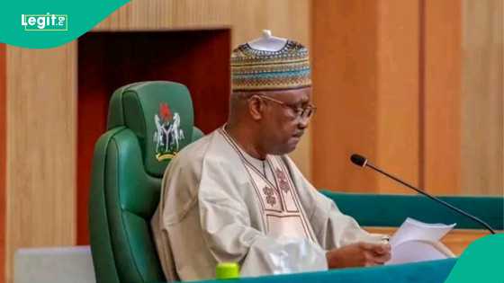 NNPP ta yi babban rashi, ƙusa a jam'iyyar Kwankwaso ya koma APC