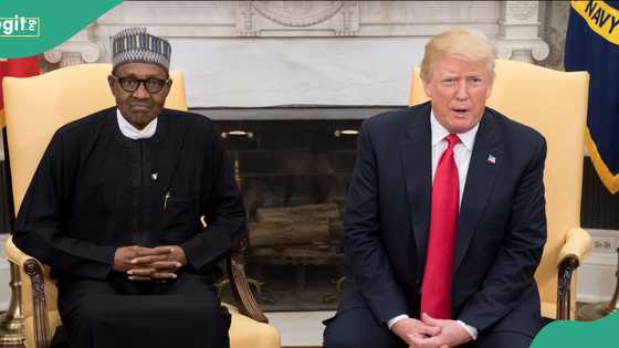 How late Buhari stood up to Trump at White House over alleged Christian genocide