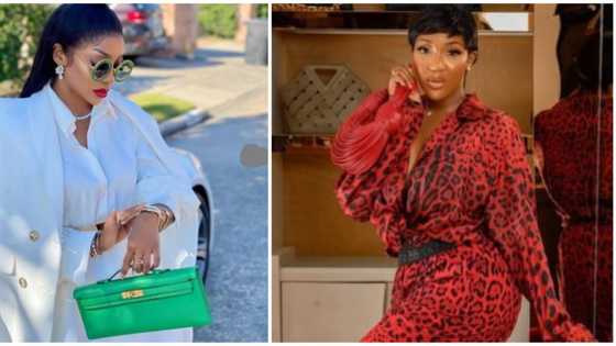 Hermes, 2 other expensive designer bags popular among Nigerian celebrities