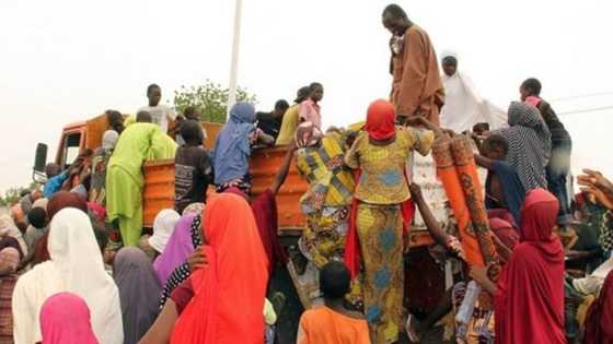 Hare-Haren Boko Haram Ya Sa Mutanen Garin Geidam Sun Fara Tserewa Daga Gidajensu