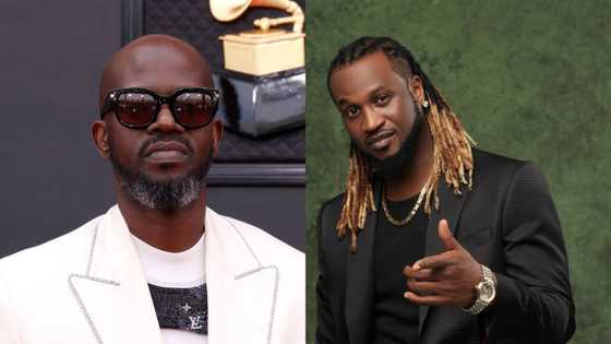 Top 20 richest musicians in Africa and their net worth in 2022 (+photos)