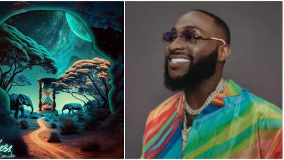 "We believe in God": Davido reacts as Timeless album debuts on US Billboard Top 50 chart