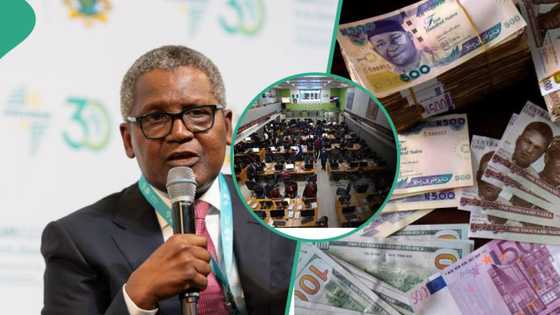 Dangote, Elumelu, others lose over N200bn in 4 hours as stocks market reacts to Nigeria downgrade