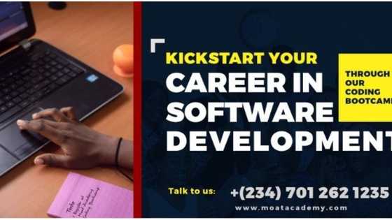 A pathway to becoming a remarkable software developer