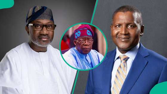 Billionaire Otedola gives Dangote's refinery a "nickname", commends Tinubu