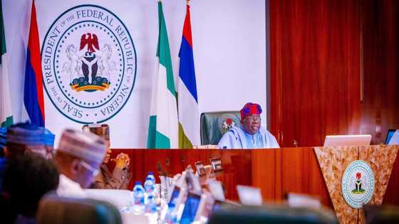 Gajerun Bayanai a Kan Mutane 8 Da Tinubu Ya Nada a Matsayin Masu Bada Shawara