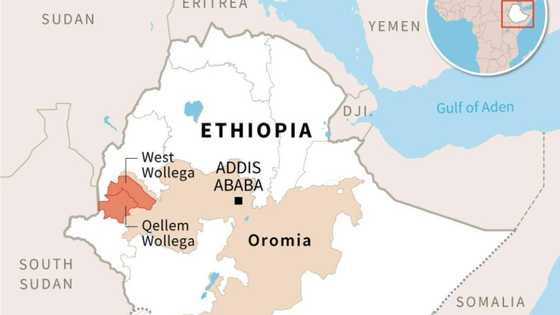 Ethiopia parliament sets up body to probe mass killings