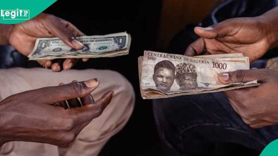 Naira exchange rate strengthens to highest level in 7 months against US dollar