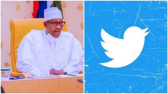 Why ban is a win-win for Nigeria and Twitter, presidential aide shares crucial details