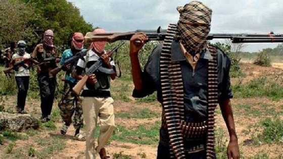 'Da duminsa: Yan Boko Haram sun kai hari, sun can suna ƙona gidaje a Womdeo