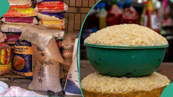 Nigerian company to sell 50kg bag of rice for N45k, lists locations, steps to buy