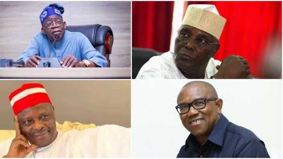 ‘It will take 20 years under Tinubu’, supporters lecture Obi, Atiku, Kwankwaso on winning 2023 election