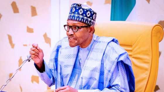 Buhari: 'Yan Najeriya akwai mantuwa, har wadanda ake zargi da rashawa cin zabe suke