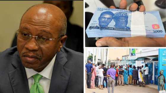 Expert Lists 5 Things CBN Missed When Introducing New Naira Notes and Cashless Policy